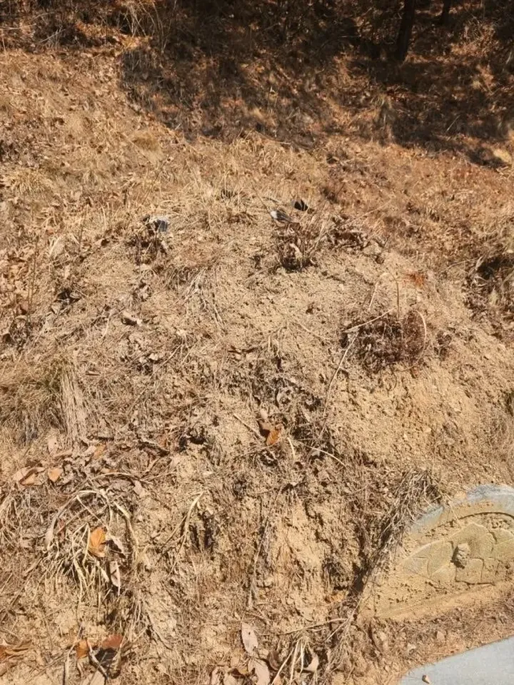 봉분 표면과 비석 일부를 가까이에서 찍은 근접 사진 예시