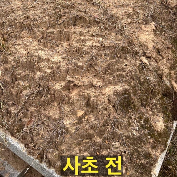 산소 사초 작업 순서 | 켜 쌓기·지그재그 심기·장마 관리